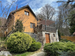 Villa Garden Balvanyos